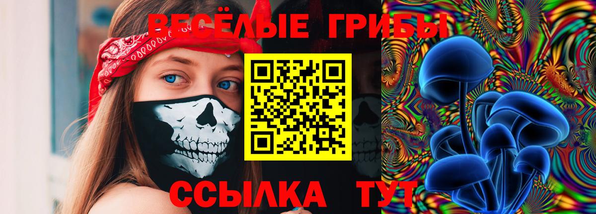 Псилоцибиновые грибы Psilocybe  Вход с VPN  Казань  Галлюциногенные грибы ЛСД 